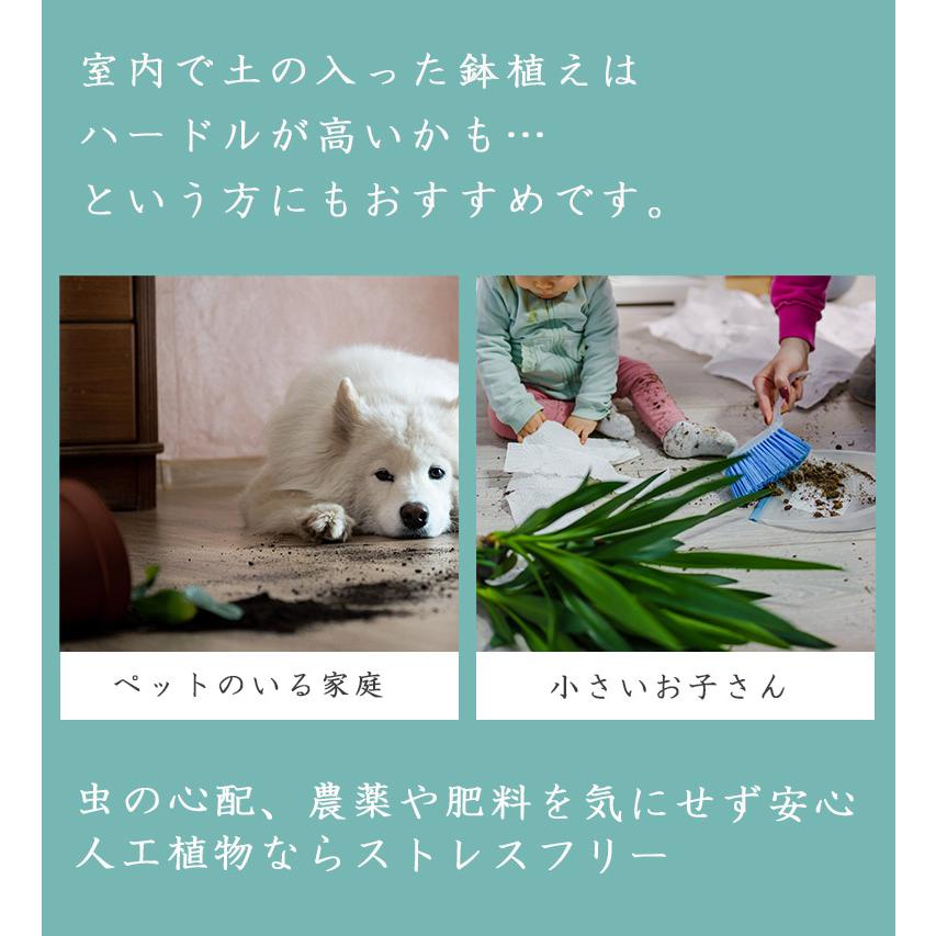 フェイクグリーン 大型 おしゃれ 観葉植物 フェイク リアル 造花 ナチュラル ザミオクルカス ザミフォーリア 130cm 【大型宅配便】の画像