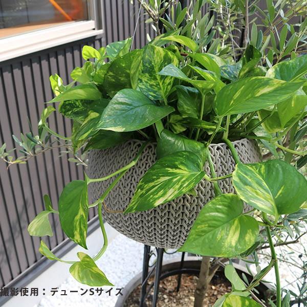 KETER KETER Knit Cozy Pot S ケター ニットコジーポットSサイズ KETER KETER Knit Cozy Pot S ケター ニットコジーポットSサイズ