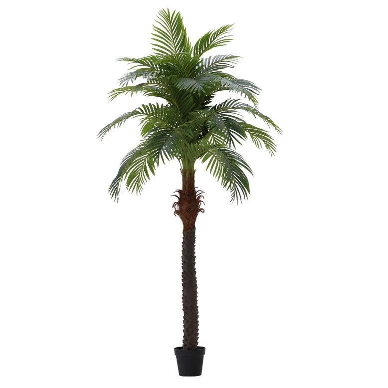 DEPOS 先行予約4月下旬入荷予定 人工観葉植物 フェイクグリーン 観葉 