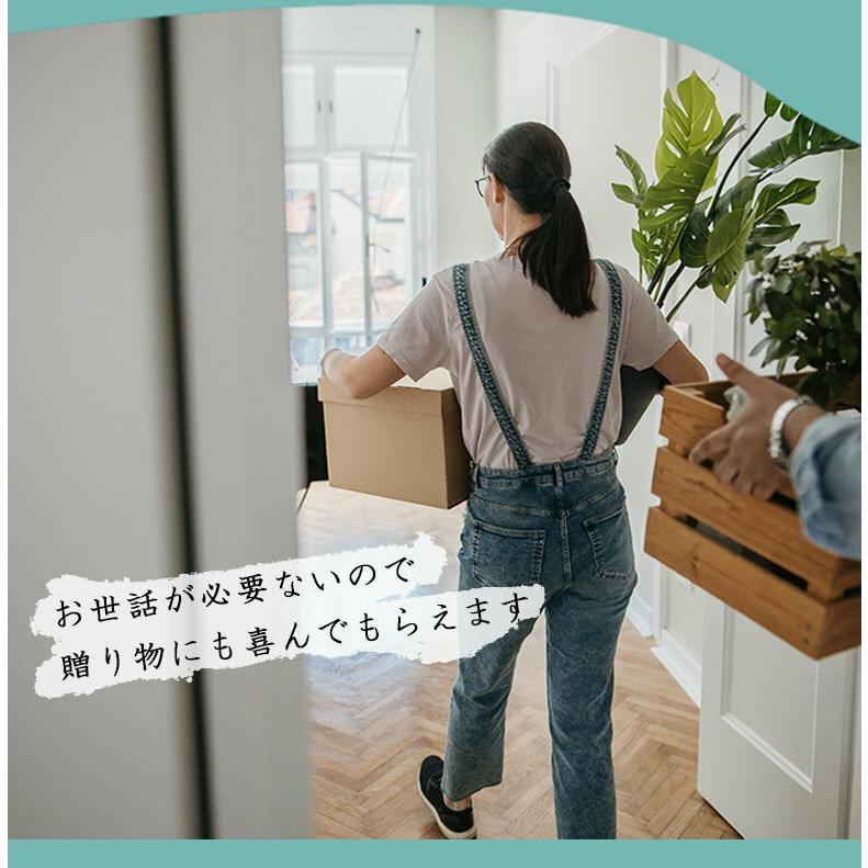 DEPOS 人工観葉植物 フェイクグリーン 観葉植物 造花 インテリア 大型