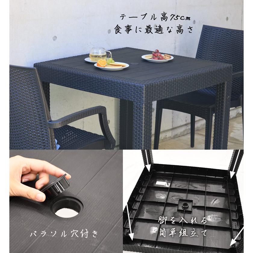 DEPOS 先行予約 ガーデン テーブル セット チェアー ラタン調 樹脂製