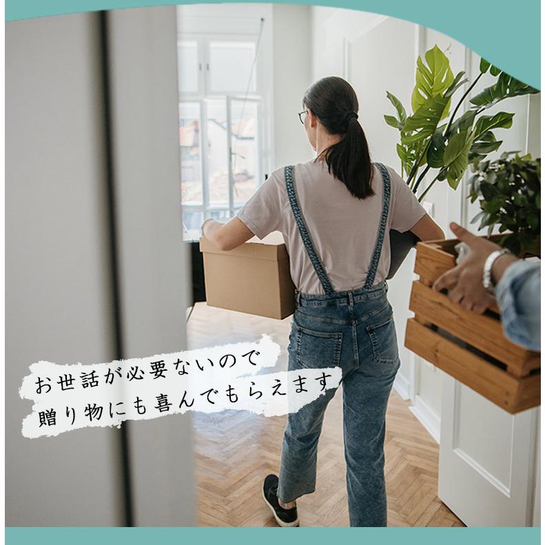 光触媒 光の楽園 南天1.0m【インテリア フェイクグリーン 人工観葉植物