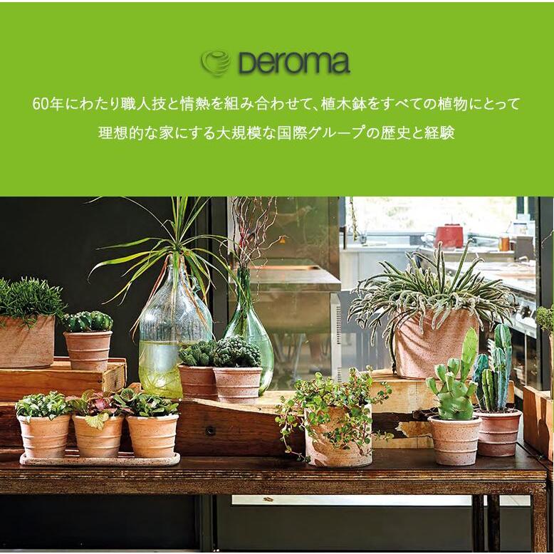 植木鉢  素焼き テラコッタ 16号鉢  陶器 プランター 浅鉢 イタリア DEROMA デロマ ヴァソペルフェット ライトグレー 50×39cm｜hanwa-ex｜06