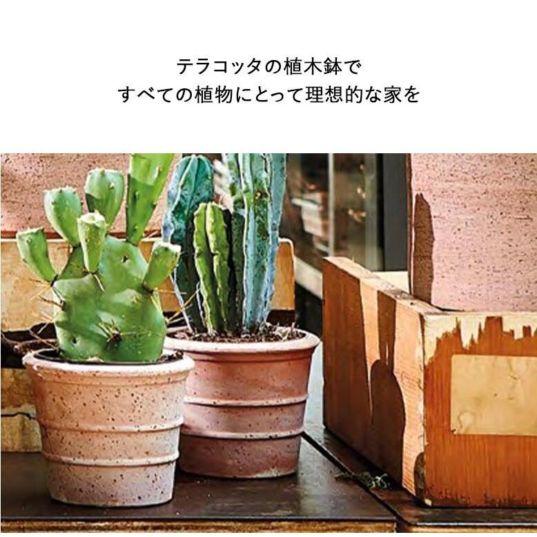 陶器製植木鉢大サイズ （検）作家鉢 陶器鉢 アガベ ユーフォルビア