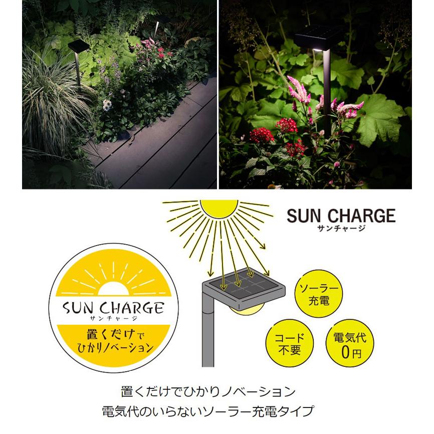⭐️タカショー⭐️ひかりノベーション 花のひかり 屋外ライト　基本セット　ソーラー タカショー ひかりノベーション ソーラーライト 花のひかりセット サン