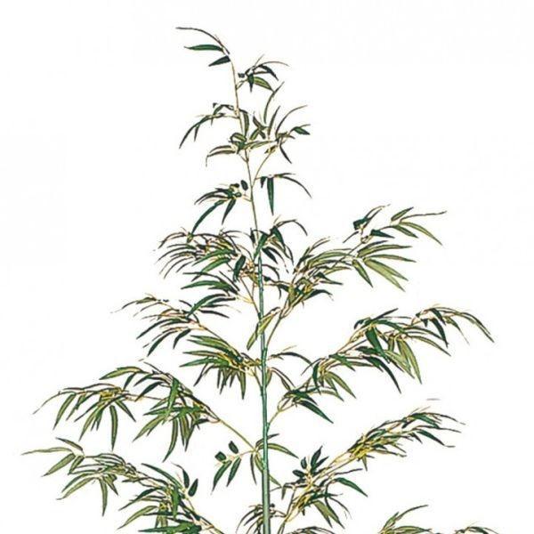 限定素材を使用 /人工植物/グリーンデコ　地鎮祭用青竹　3.2mジョイント式 【2476722056】(12513円)