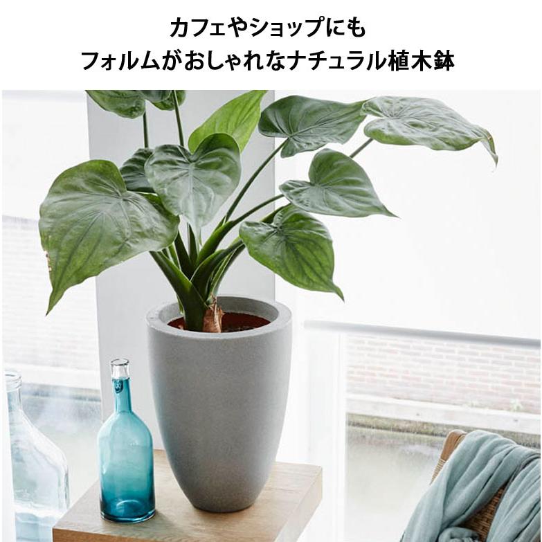 Capi Europe 植木鉢 縦長 軽量 プランター カピ ベースエレガントロウ