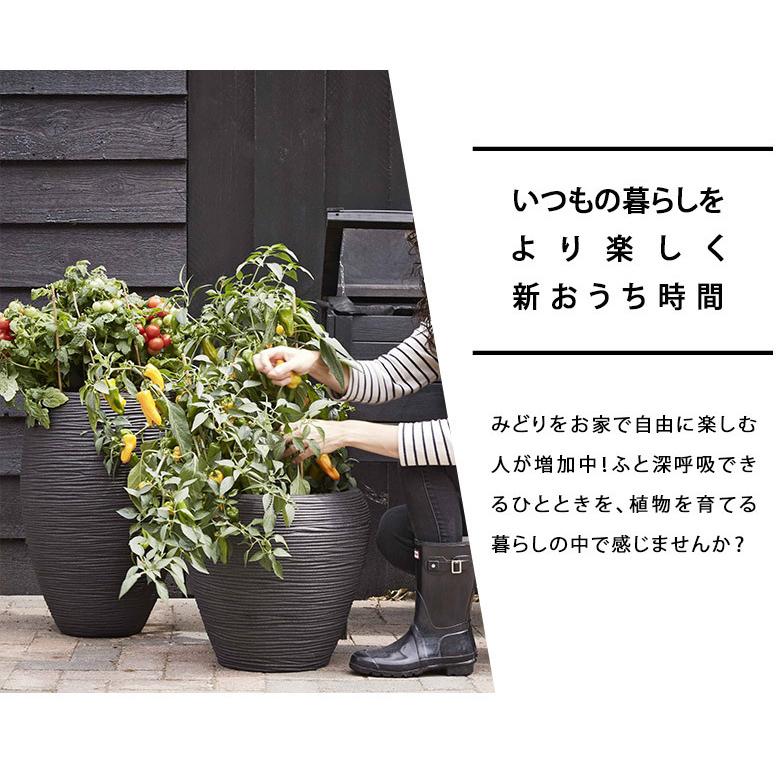 大型植木鉢 Capi トールエレガントロウ リブ 高さ60cm 40×60 送料無料