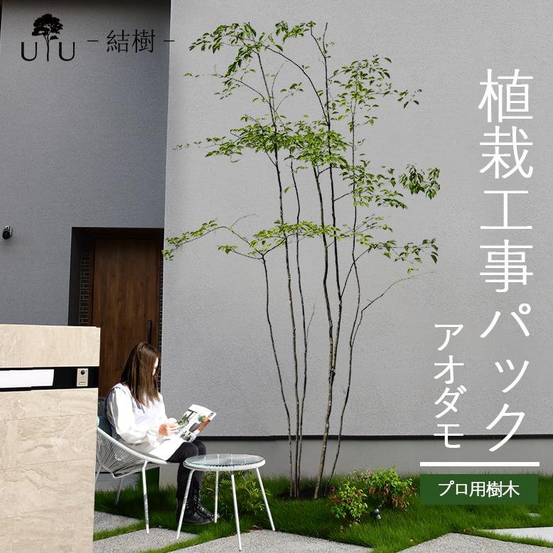 DEPOS 施工付植木/近畿地域限定 シンボルツリー 庭木 落葉樹