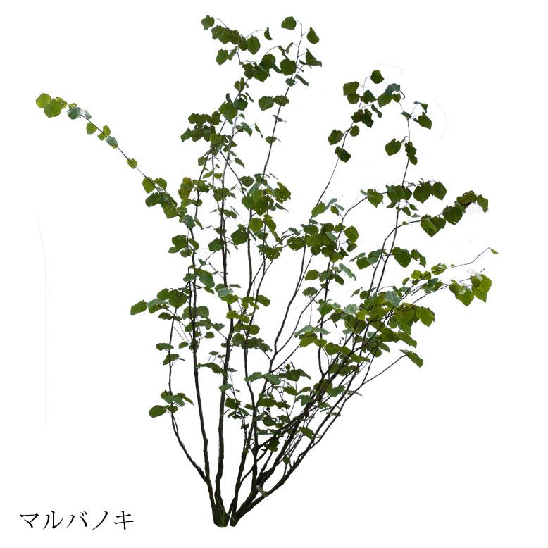 りお 流木ツリー二点 りお 流木ツリー二点 りお様専用 流木ツリー二点