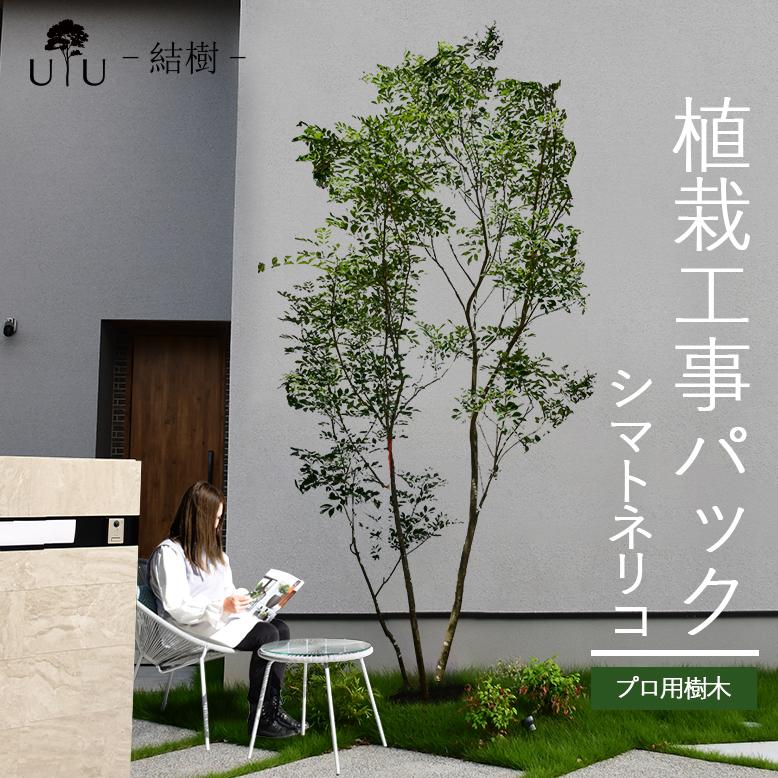 広葉樹資源の管理と活用 | 古川郁夫, 日置佳之, 山本福壽, 鳥取
