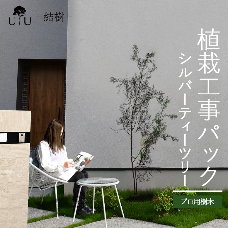 速くおよび自由な DEPOS 常緑針葉樹 庭木 シンボルツリー 施工付植木/近畿地域限定 落葉樹