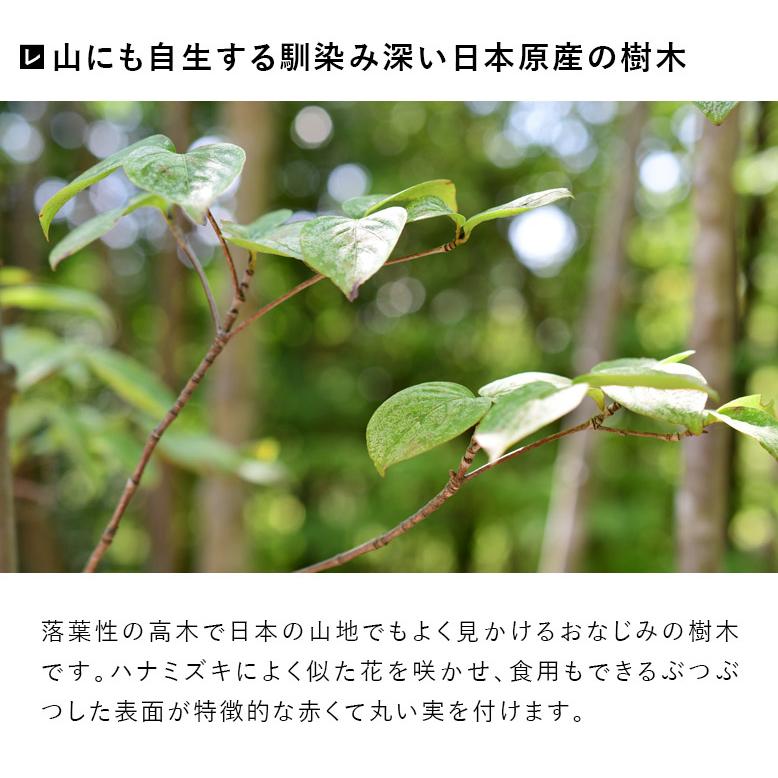 施工付植木/近畿地域限定 シンボルツリー 庭木 落葉樹 落葉高木 樹高2.5m以上(根含まず) UJU 結樹 ゆうじゅ ヤマボウシ 代金引換・同梱不可 hnw1｜hanwa-ex｜10