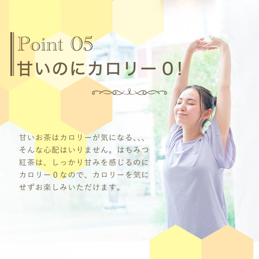 はちみつ紅茶 2箱 2g×50包 セイロンファミリー JB Honey`s ハニー 蜂蜜 紅茶 ティーバッグ スリランカ リラックス カフェ おすすめ 送料無料 |  | 06