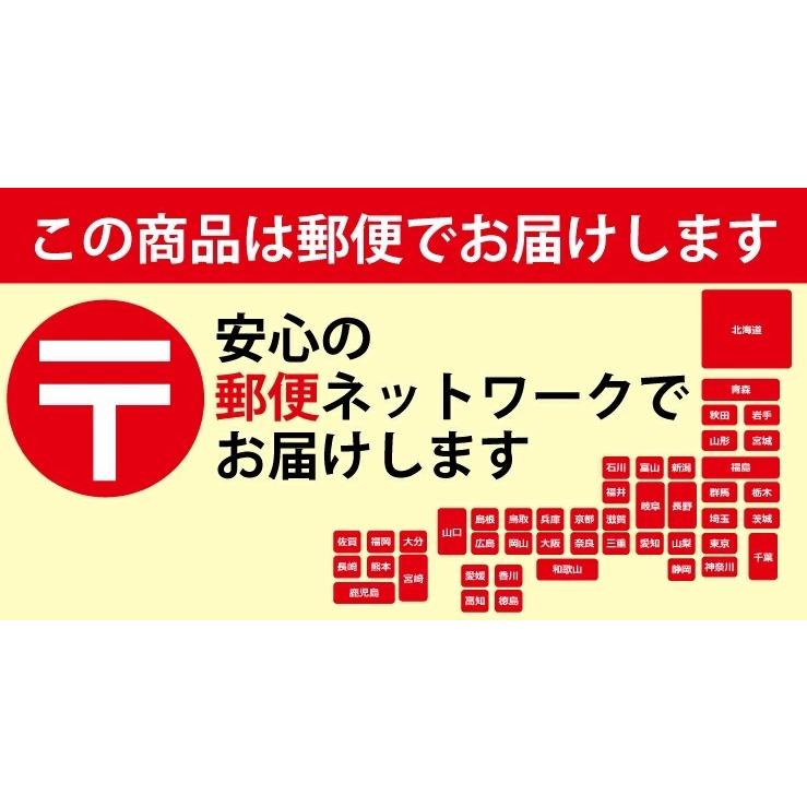 ライトニングケーブル iphone 充電ケーブル Lightning type-c アイフォン iPad アップル apple認証 MFi認証品 純正品質 充電器 14 送料無料 【PKT】 爆買 | ハンファ | 19