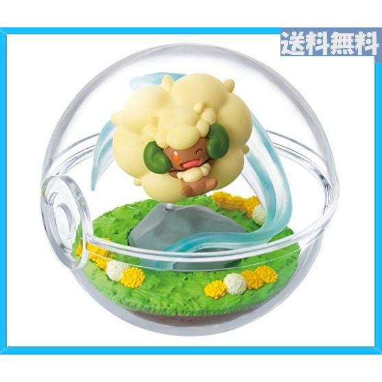 全てのアイテム ポケットモンスター テラリウムコレクション Box商品 めぐる季節の中で その他食玩 Afonsopacileo Com Br