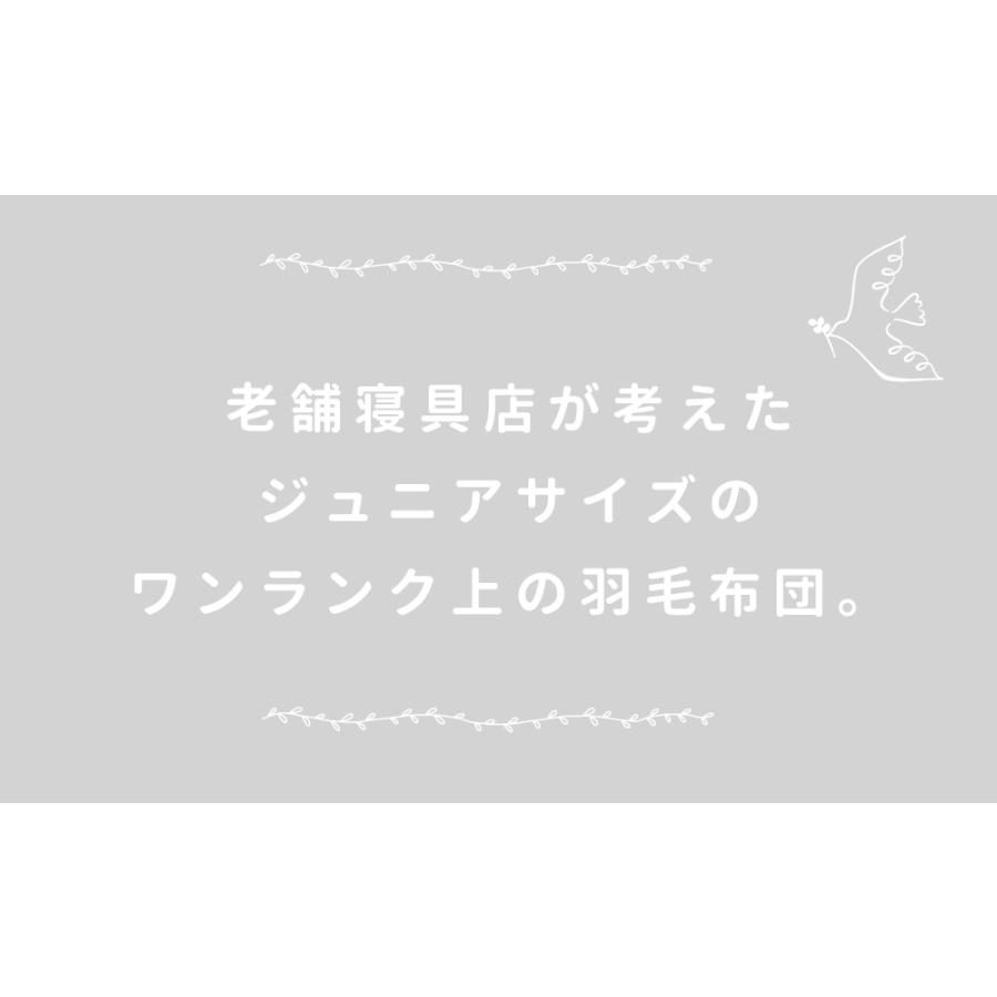 日本製 洗える羽毛布団 130×180cm ジュニアサイズ 天使のダウン ダウン
