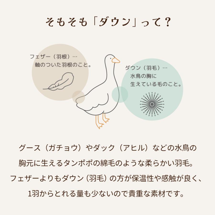日本製 洗える羽毛布団 130×180cm ジュニアサイズ 天使のダウン ダウン