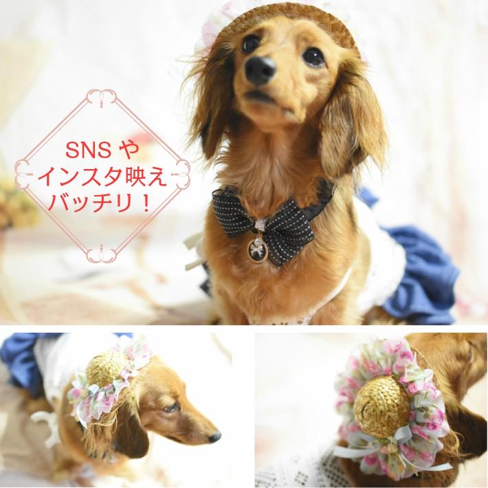 犬 アクセサリー シフォン リボン 麦わら帽子 髪飾り ペット 1805ht0001 Hapi Co 通販 Yahoo ショッピング