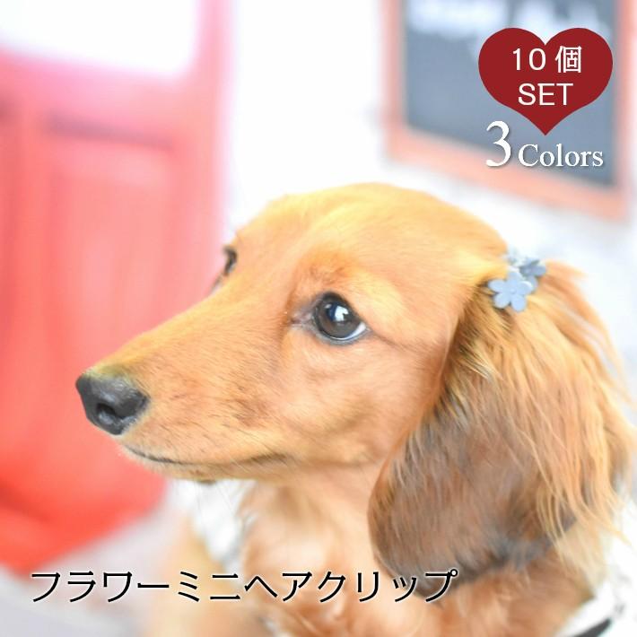 犬 ヘアアクセサリー フラワー ミニ ヘアクリップ ヘアピン 10個セット 1904ha0008 Hapi Co 通販 Yahoo ショッピング