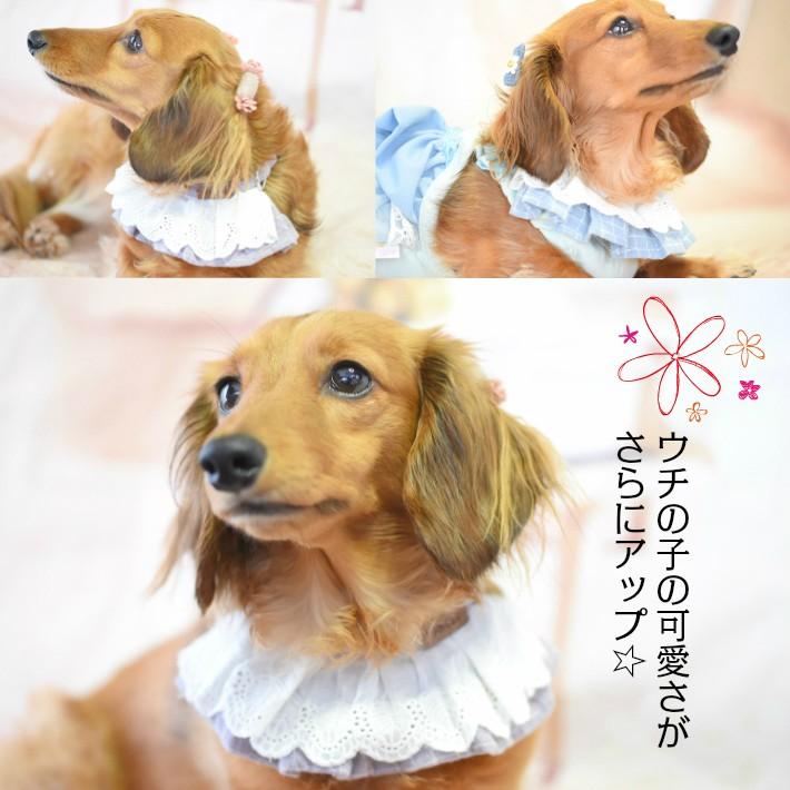 犬 首輪】 チェック フリル レース ドッグカラー : HAPI&Co - 通販