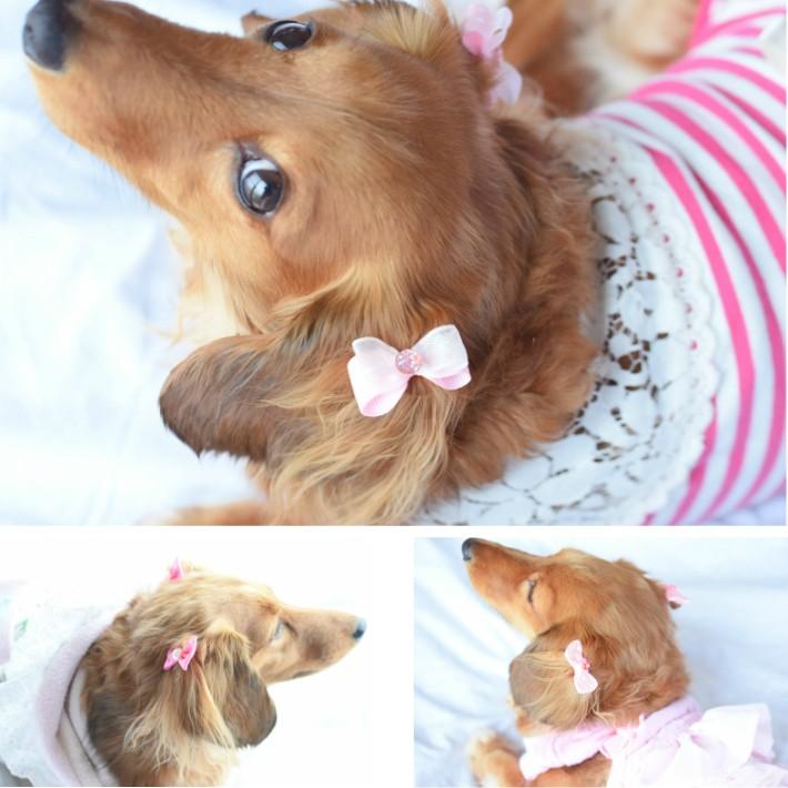 【犬 ヘアアクセサリー】  リボン ヘアゴム 8点セット 髪飾り C 姫 キュート｜hapi-and-co｜07