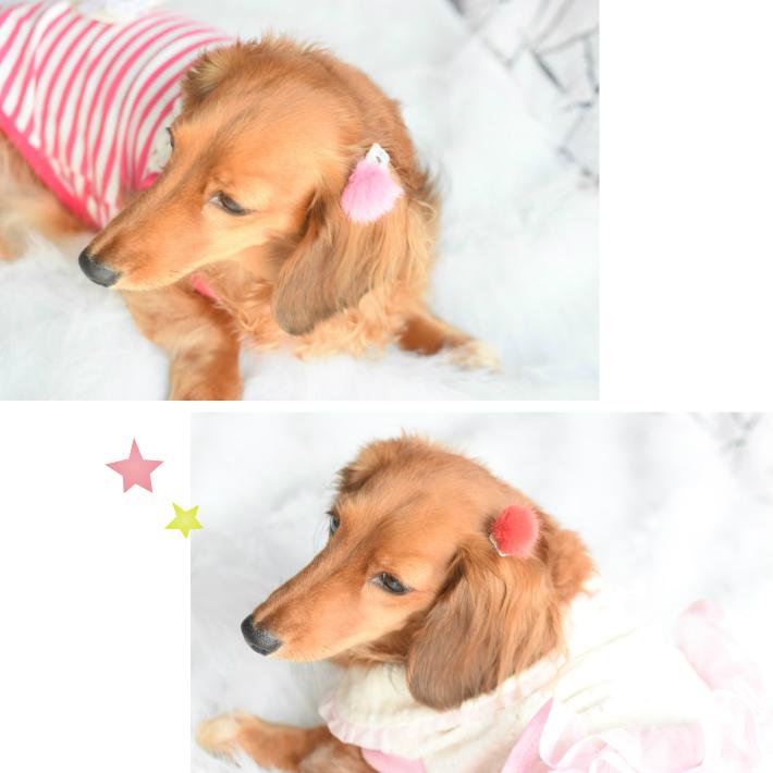 【犬 ヘアアクセサリー】 ポンポン ファー コーム型 パッチン留め ヘアピン 2点セット E 髪飾り｜hapi-and-co｜06