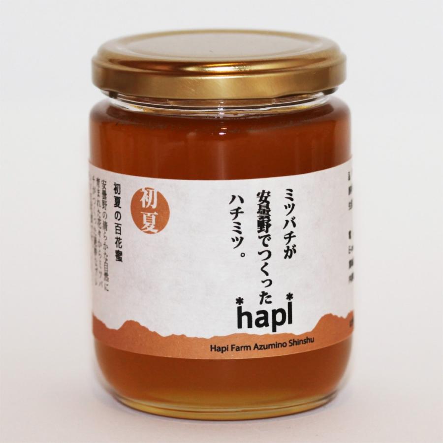 安曇野産 初夏の百花蜜300g（非加熱・生蜂蜜） | 
