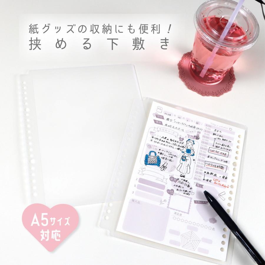 リアコレ ファイルセット  ホワイト ピンク 8種23点セット スターターキット 推し活アルバム ハピラ REAL01WH | ブランド登録なし | 03