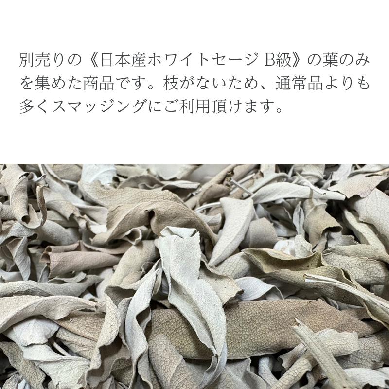 日本産 ホワイトセージ B級お買い得商品 葉のみ 20g 2袋 浄化用 消臭 クリックポスト パワーストーン 浄化 お香 |  | 03