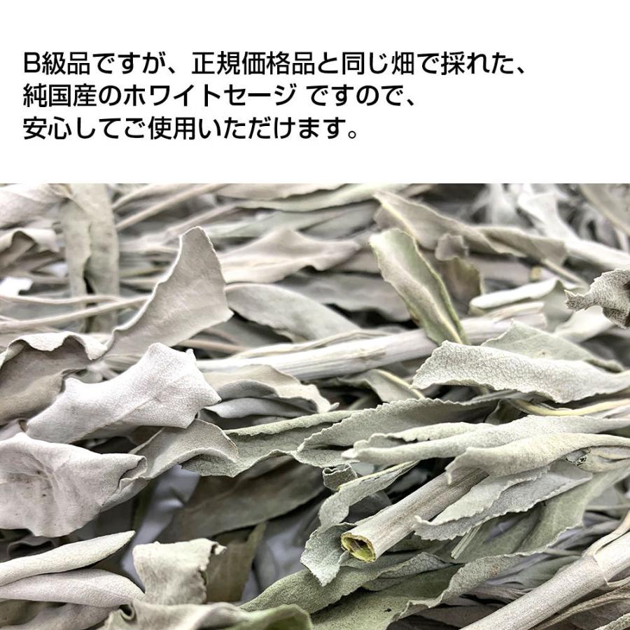 日本産 ホワイトセージ B級お買い得商品 30g×2個セット 葉・枝 日本産 ホワイトセージ B級お買い得商品 30g×2個セット 葉・枝