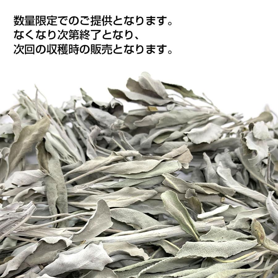 日本産 ホワイトセージ B級お買い得商品 30g×2個セット 葉・枝・クラスター等入り 浄化用 クリックポスト パワーストーン 浄化 お香 |  | 06