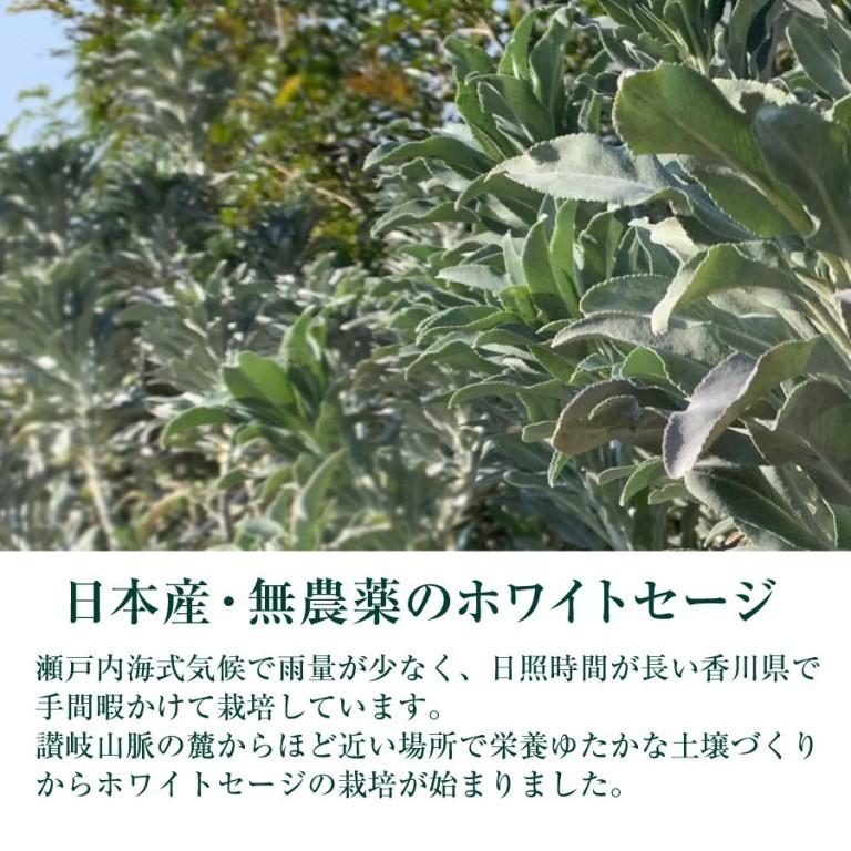 日本産 ホワイトセージ B級お買い得商品 30g×2個セット 葉・枝 日本産 ホワイトセージ B級お買い得商品 30g×2個セット 葉・枝