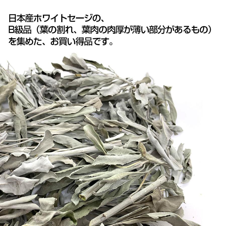 日本産 ホワイトセージ B級お買い得商品 葉・枝・クラスター等入り 30g 浄化用 消臭 クリックポスト パワーストーン 浄化 お香 |  | 04