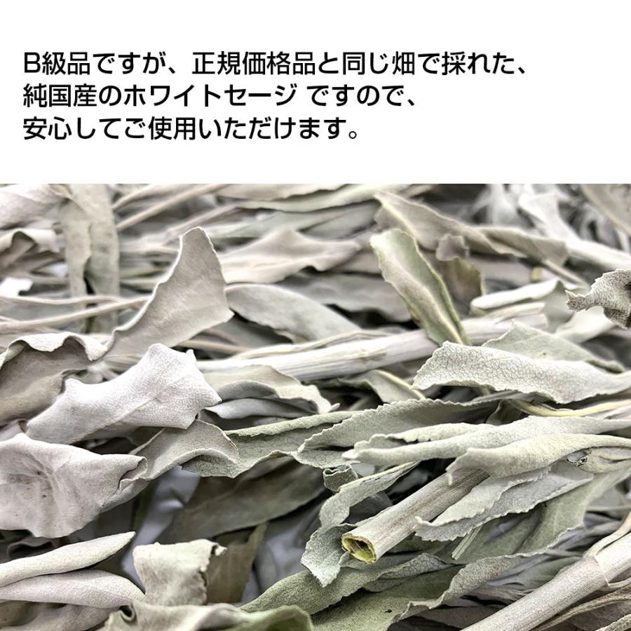 日本産 ホワイトセージ B級お買い得商品 葉・枝・クラスター等入り 30g 浄化用 消臭 クリックポスト パワーストーン 浄化 お香 |  | 05