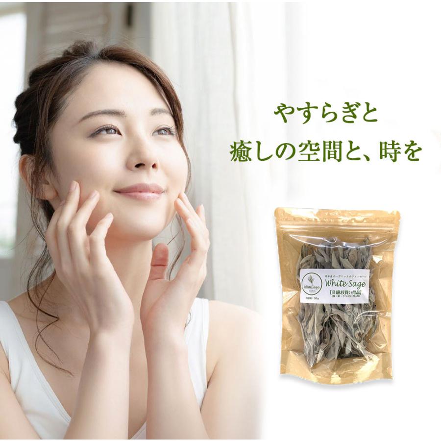 日本産 ホワイトセージ B級お買い得商品 葉・枝・クラスター等入り 30g 浄化用 消臭 クリックポスト パワーストーン 浄化 お香 |  | 02