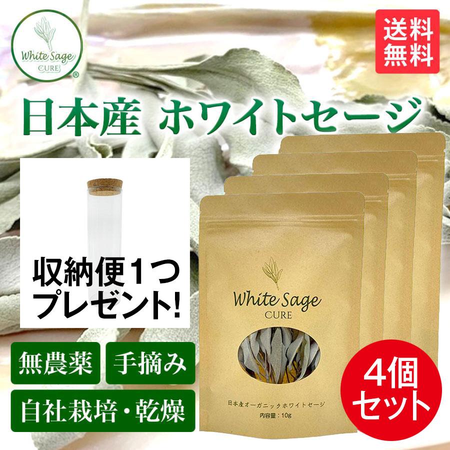 日本産 ホワイトセージ 枝付き 約10g×4パック【収納瓶プレゼント】浄化用 パワーストーン浄化 消臭 部屋 お香 アロマ Japanese white sage 10g×4 packs | 