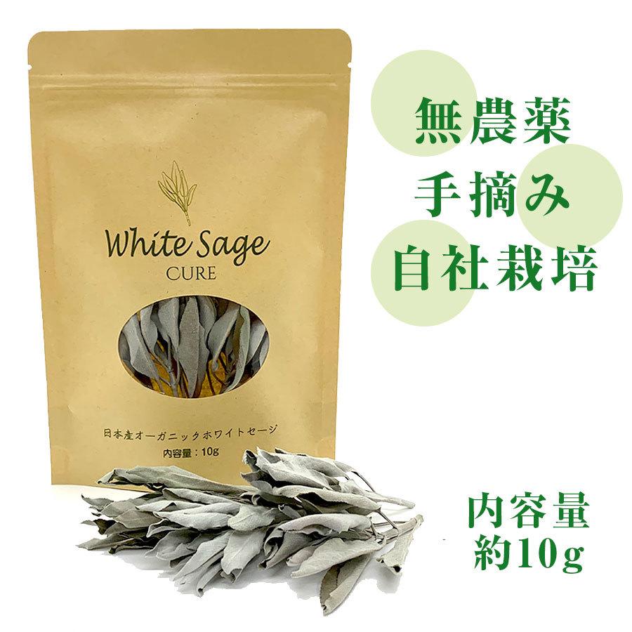 日本産 ホワイトセージ 枝付き 無農薬 浄化 消臭 お香 アロマ インセンス Japanese white sage 10g｜hapima｜02