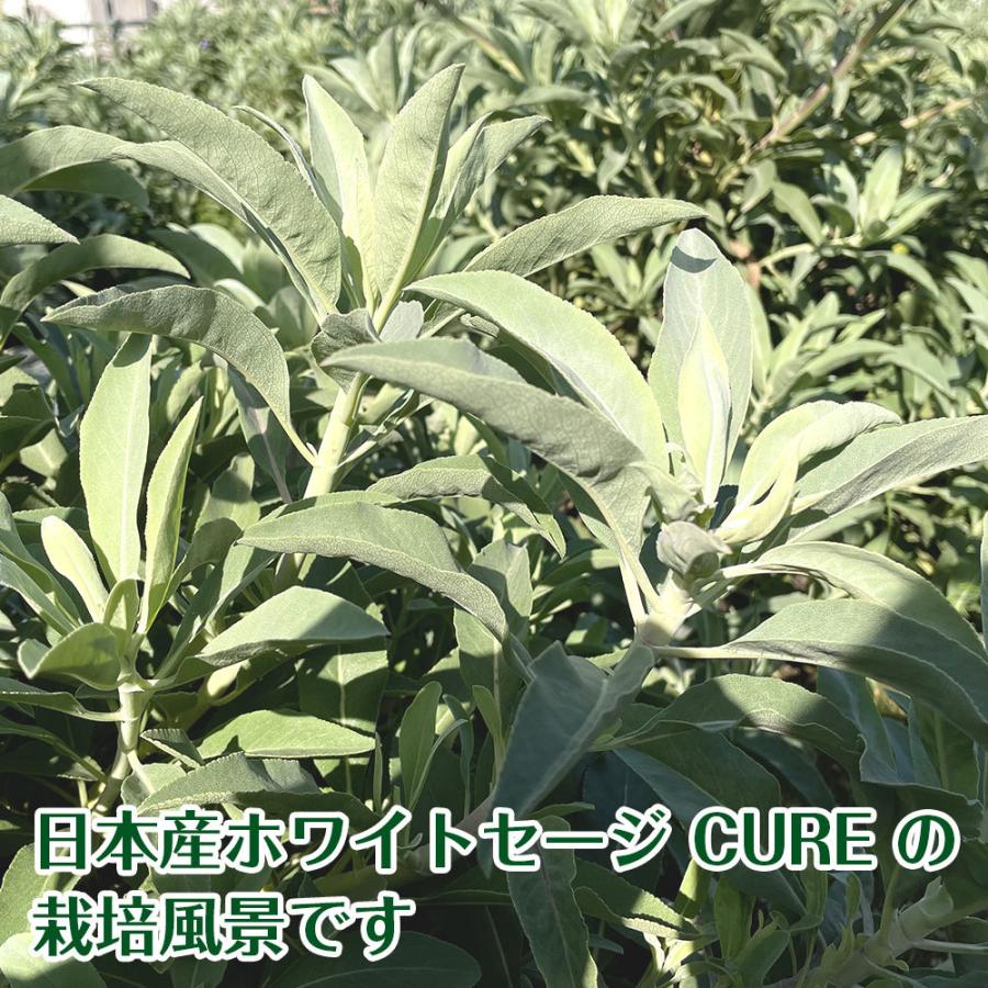 まるページ☆無農薬ホワイトセージ枝無しリーフ2KG業務用価額浄化お香 日本産 ホワイトセージ 枝付き 無農薬 浄化 消臭 お香 アロマ