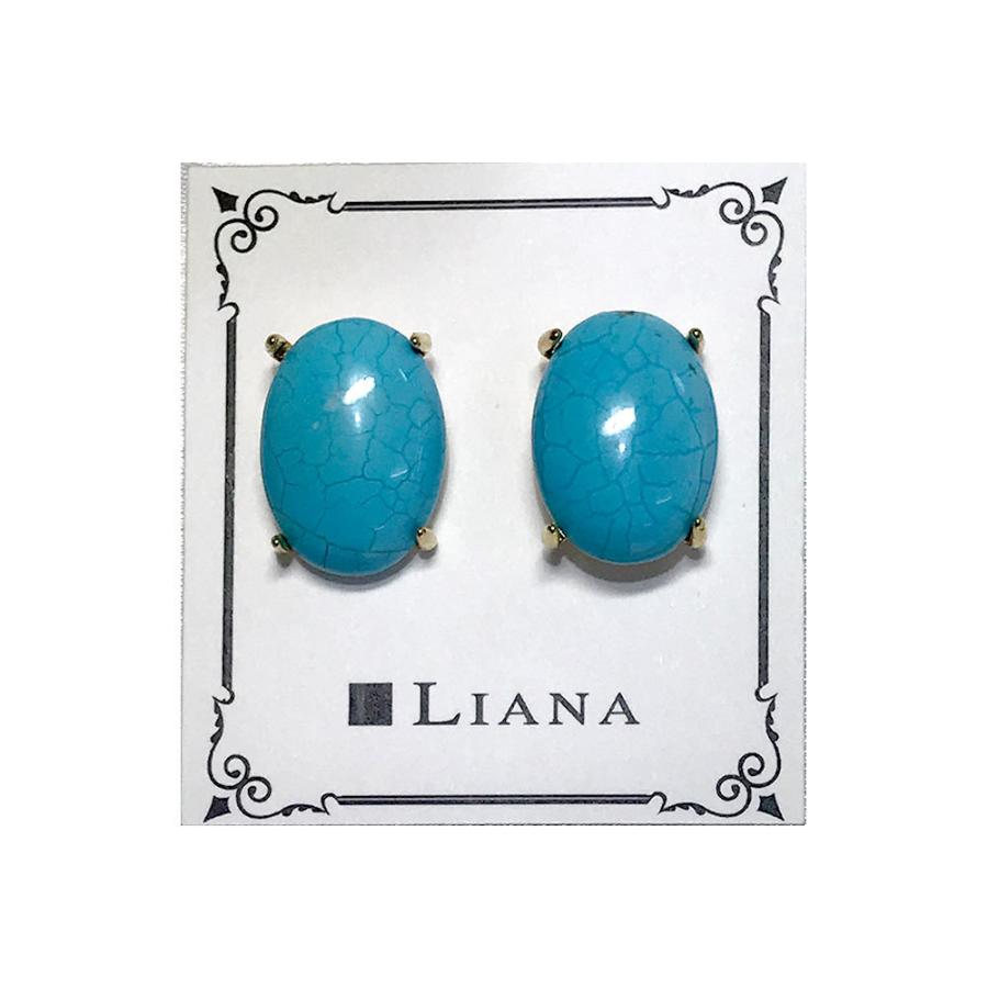 ターコイズ ピアス Turquoise Earrings パワーストーンピアス LELB460 |  | 05
