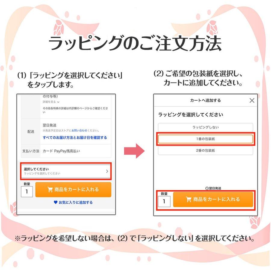 パワーストーン ボールペン アクアマリンGemstone Amulet Pen(aquamarine)【数量限定モデル】【送料無料】 |  | 08