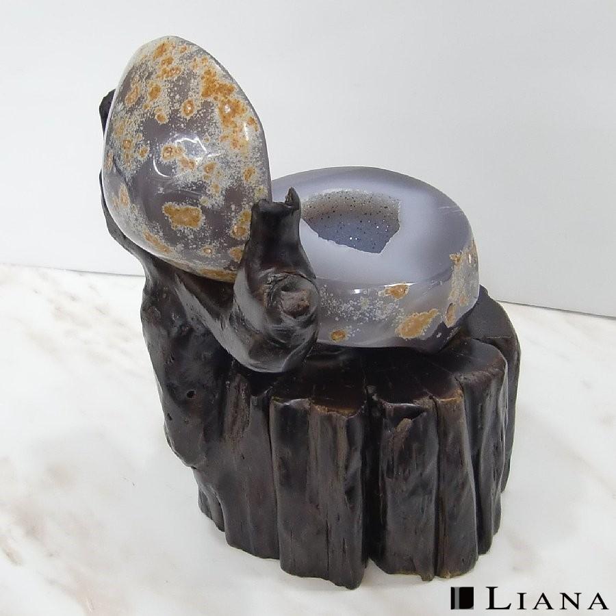 トレジャーメノウ LJM3015 パワーストーン 天然石 原石 Agate 瑪瑙 ジオード ペア水晶 置物 インテリア |  | 04