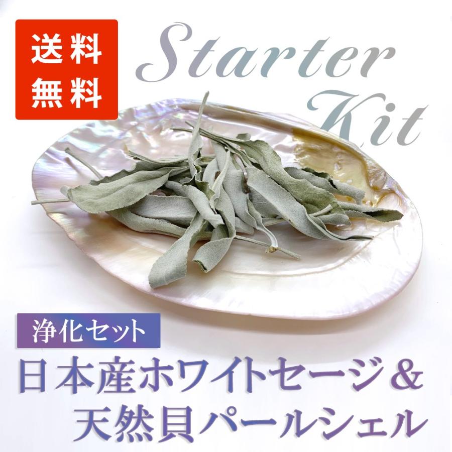 日本産 ホワイトセージ と 天然貝 パールシェル 浄化セット02 パワーストーン 浄化 お部屋 お香 貝 シェル 国産 セージ ヨガ 瞑想 消臭 Ljo002 パワーストーンのlianaリアナ 通販 Yahoo ショッピング