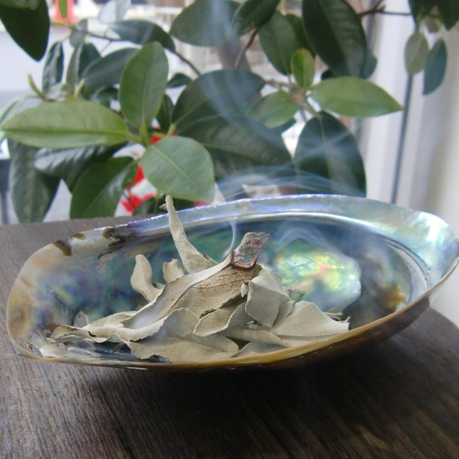 浄化セット12 [無農薬・限定数]日本産 ホワイトセージ と アバロンシェル セット  パワーストーン 浄化 お部屋 お香 貝 シェル 国産 セージ ヨガ 瞑想 消臭 |  | 04