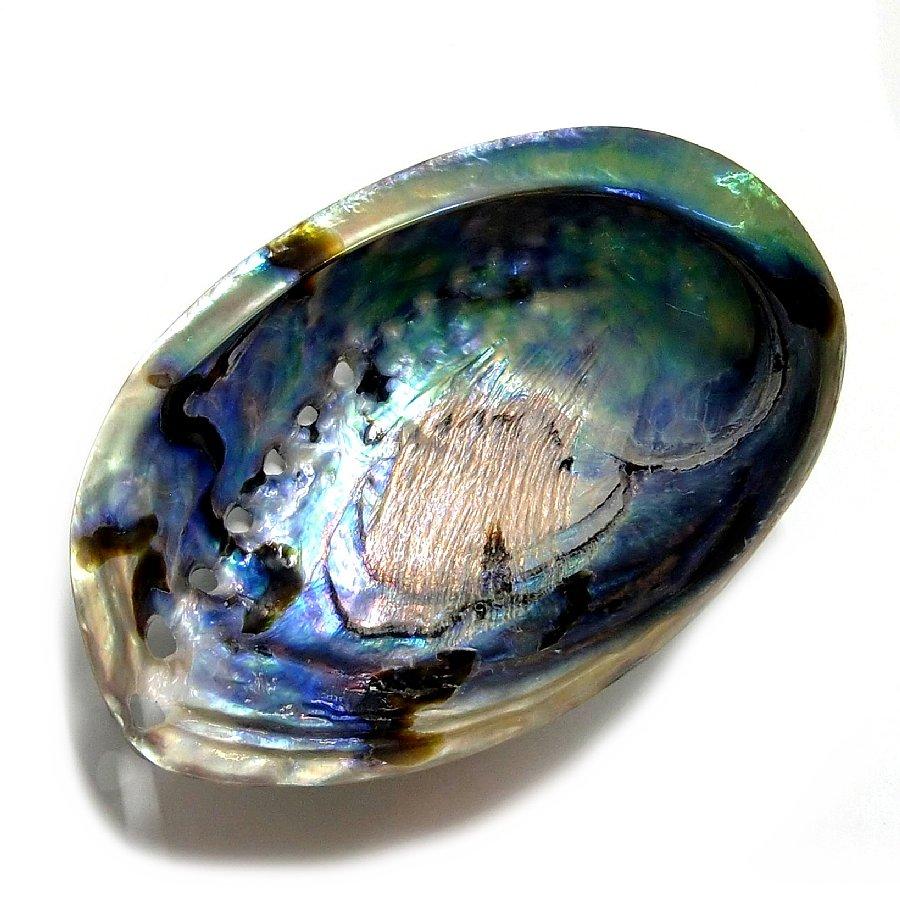 浄化セット12 [無農薬・限定数]日本産 ホワイトセージ と アバロンシェル セット  パワーストーン 浄化 お部屋 お香 貝 シェル 国産 セージ ヨガ 瞑想 消臭 |  | 06