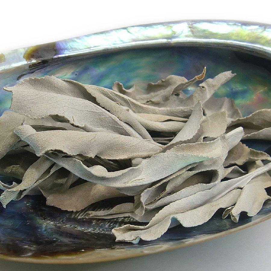 浄化セット12 [無農薬・限定数]日本産 ホワイトセージ と アバロンシェル セット  パワーストーン 浄化 お部屋 お香 貝 シェル 国産 セージ ヨガ 瞑想 消臭 |  | 07