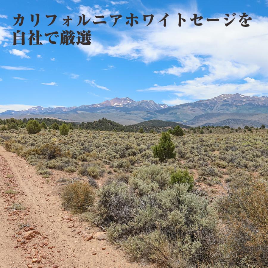 ホワイトセージ 浄化 クラスター パワーストーン 枝付き 20g カリフォルニア産 送料無料 お香 浄化用 セージ |  | 01