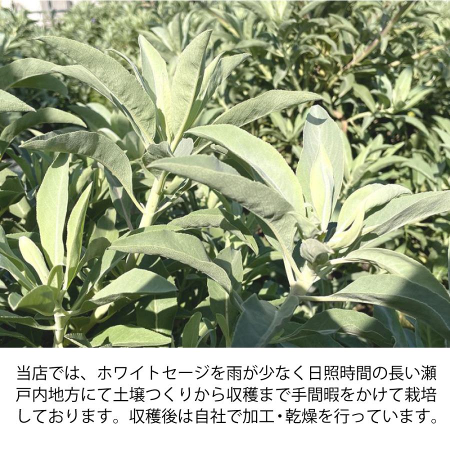 日本産ホワイトセージCure精油（オイル）10ml エッセンシャルオイル |  | 04