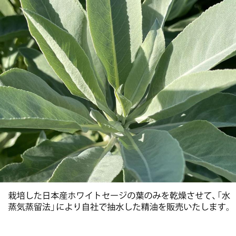 日本産ホワイトセージCure精油（オイル）10ml エッセンシャルオイル |  | 05