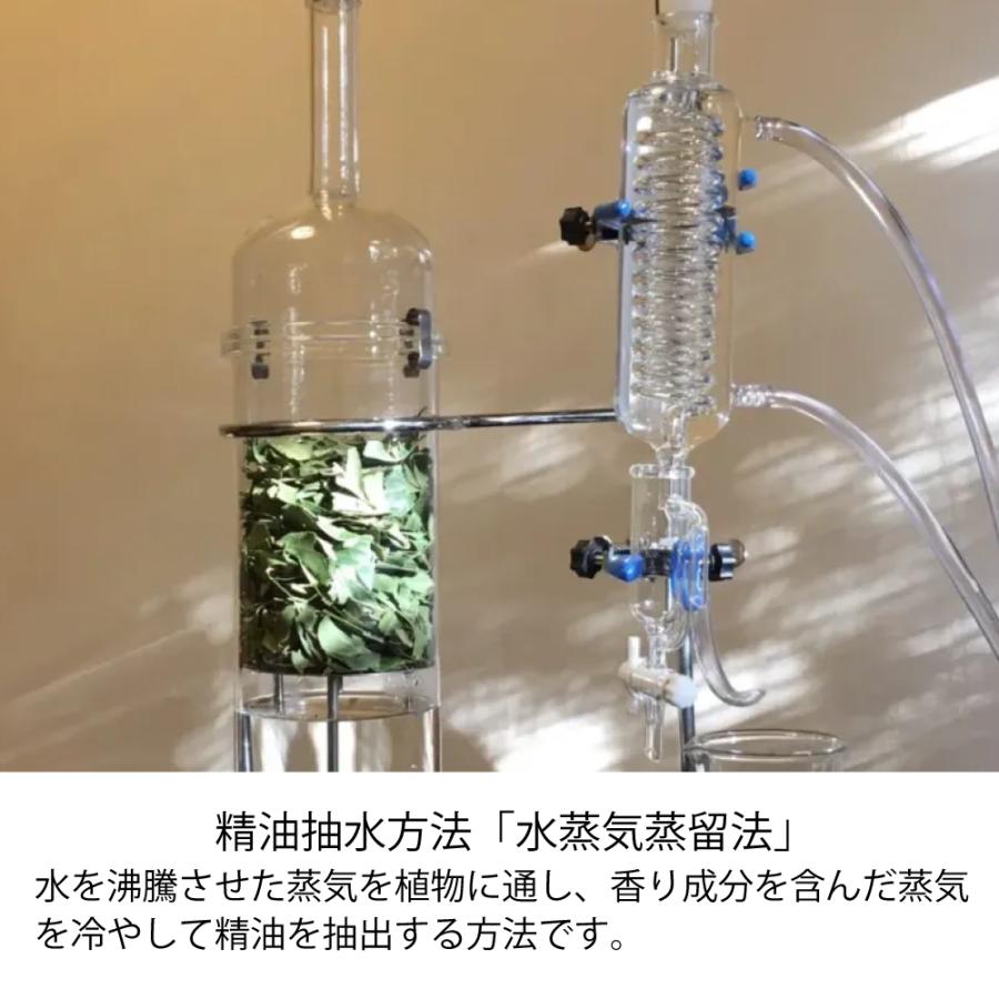 日本産ホワイトセージCure精油（オイル）10ml エッセンシャルオイル |  | 06